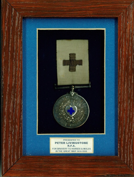 Framed ODFL Blue Cross silver medal presented to Peter Livingstone RFA for bravery to horses and mules in the Great War 1914 1918